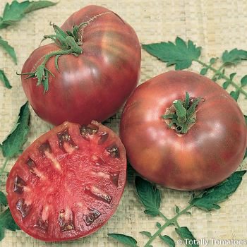 Cherokee Purple Tomato.