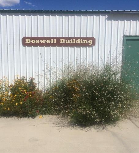 Boswell building garden.
