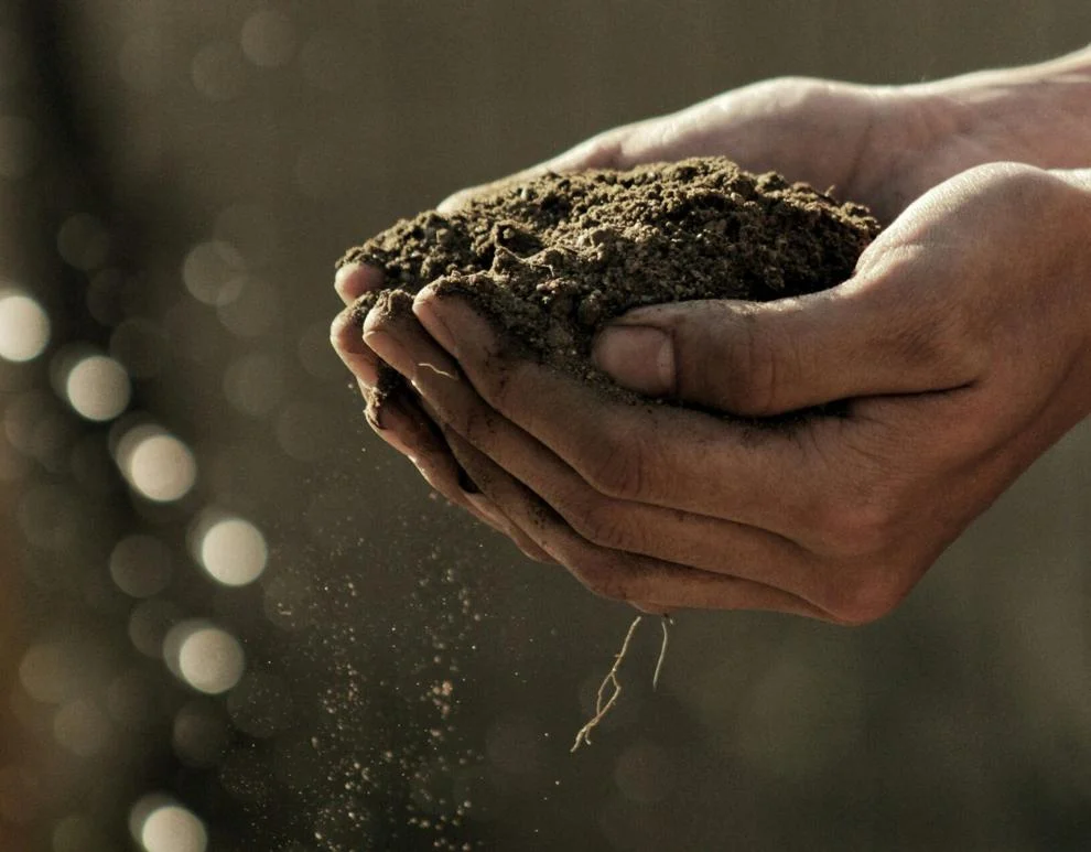 Hands holding soil.