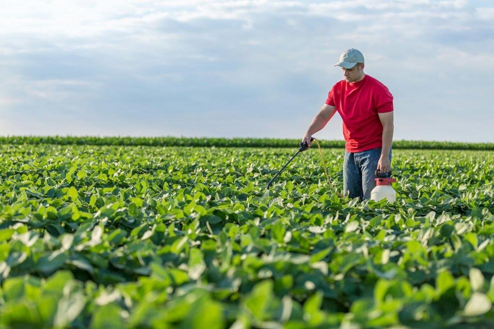 Man in red shirt using hand held sprayer.