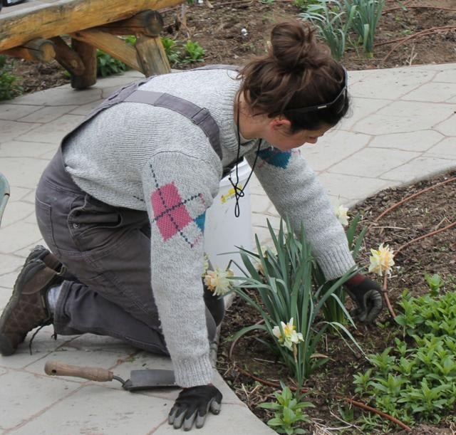 Weeding the garden.