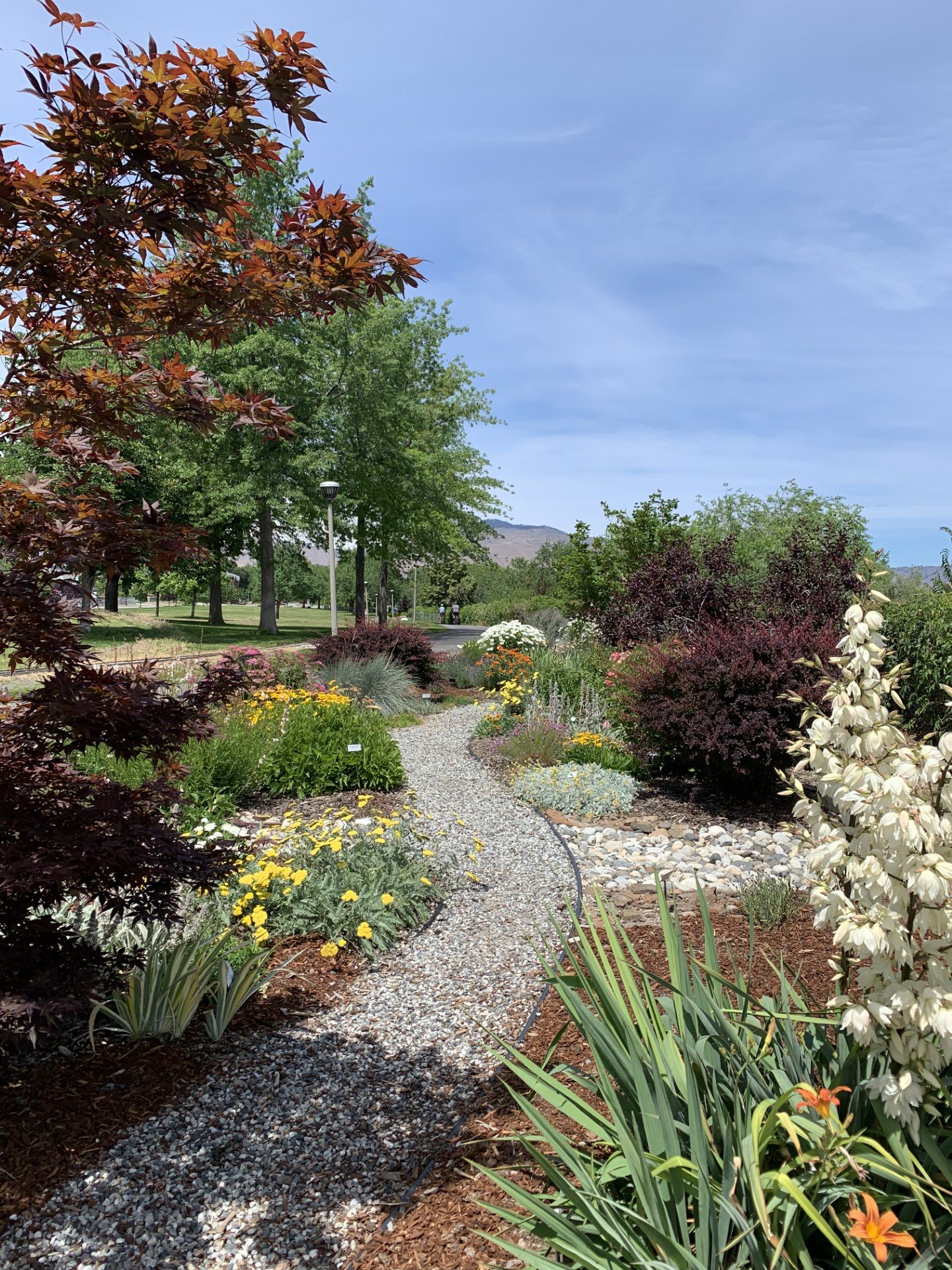 Trail through Xeriscape Garden.