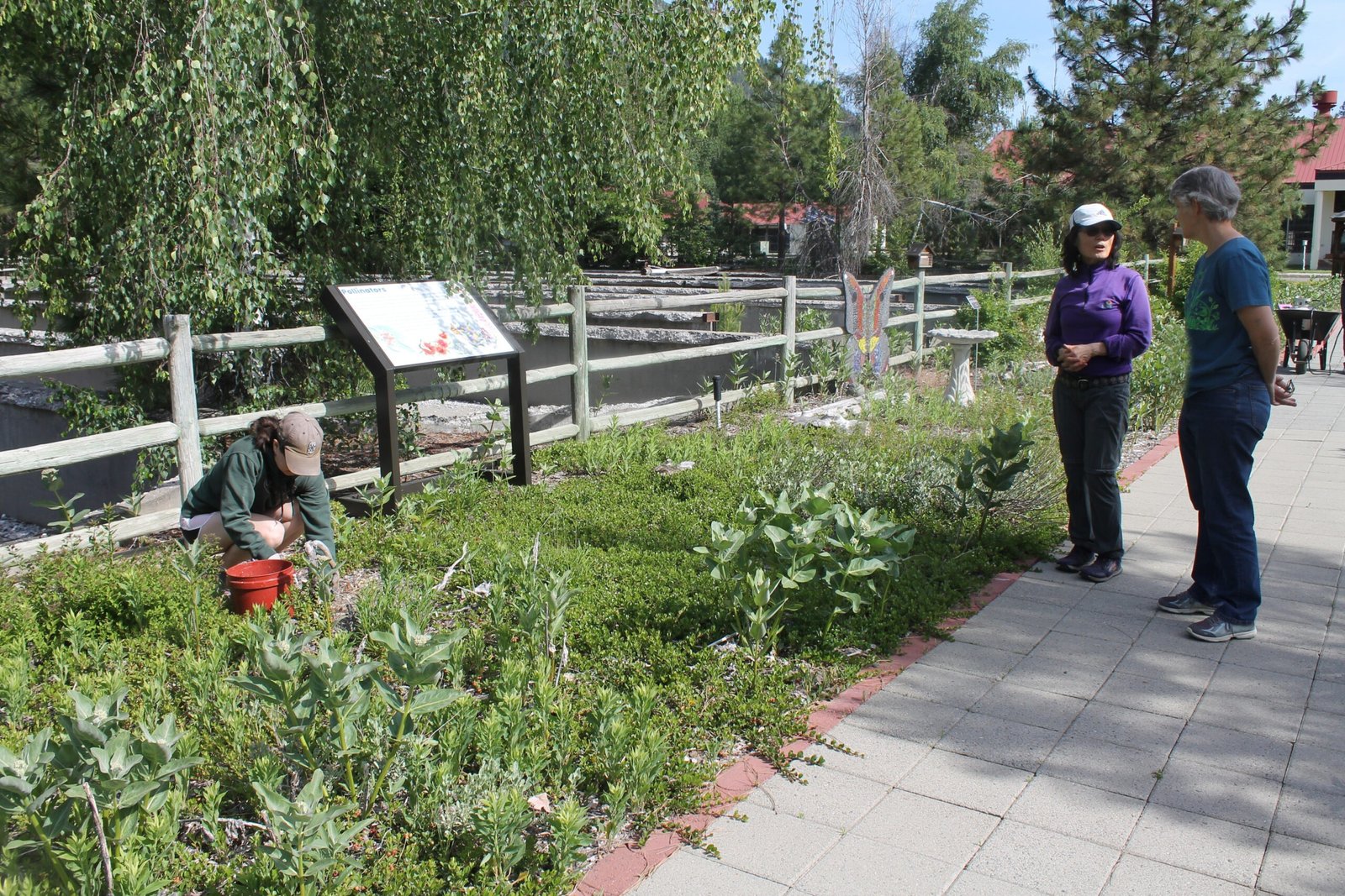 Master Gardeners at the Pollinator Garden.