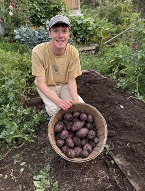 Man kneeling in soil with bushel of potatoes.