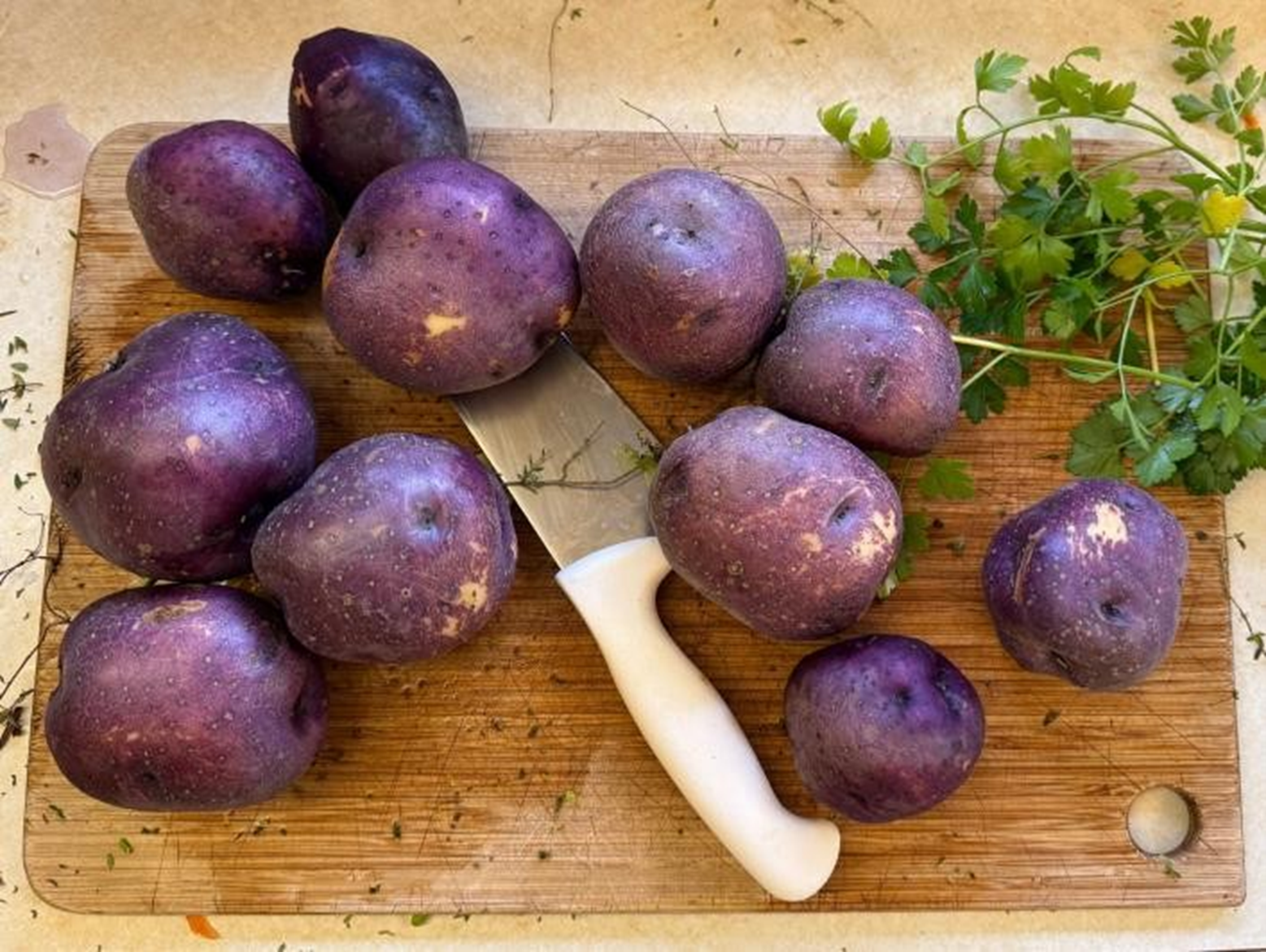 Eleven red potatoes, white handled knife and parsley on a wooden cutting board.