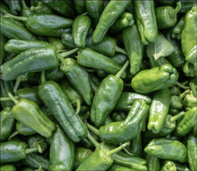 Green and red Baron bell pepper