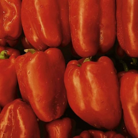 Green and red Baron bell pepper