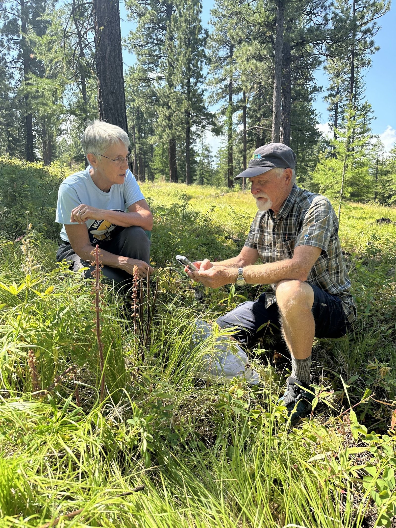 Two volunteers collecting native bees.