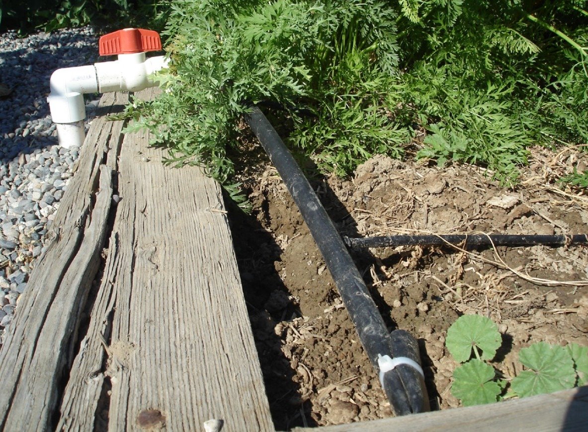 PVC irrigation pipe and valve feed water to a one half inch poly tube which feeds a quarter inch drip line to water this garden.
