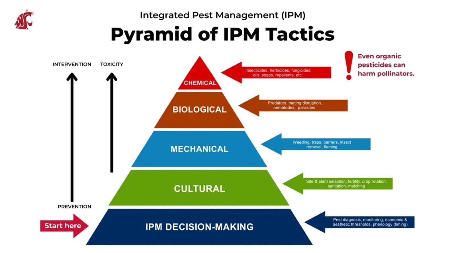 The Integrated Pest Management pyrimid.