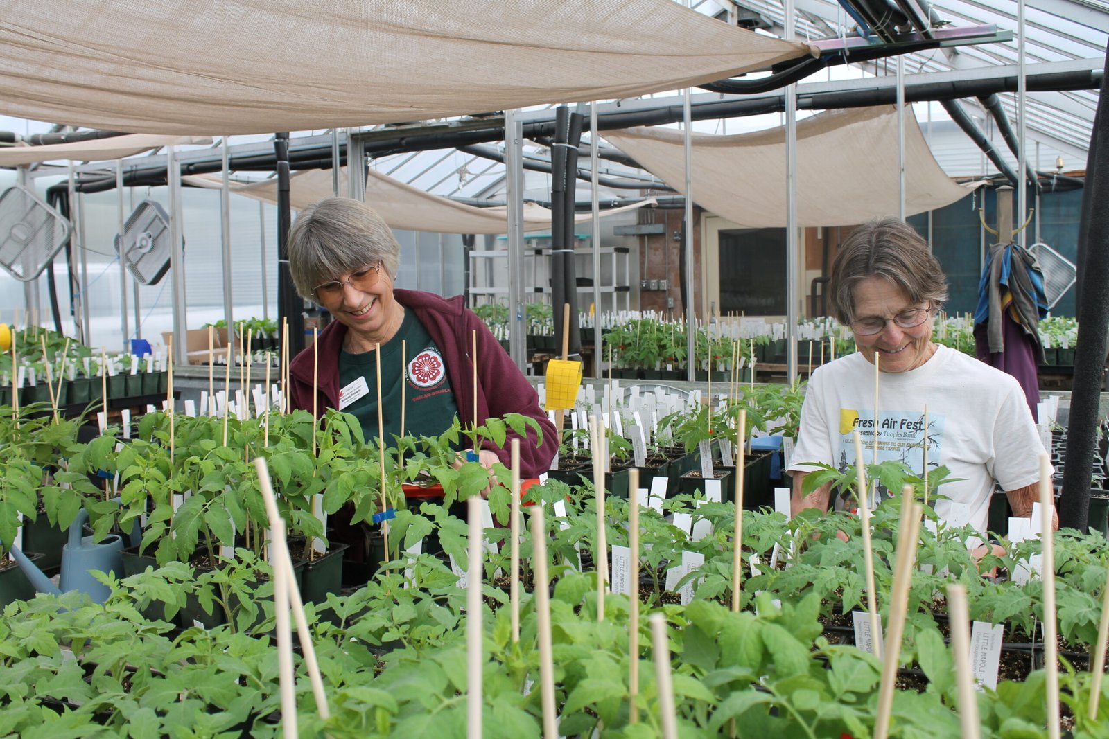 Two Master Gardeners working in the greenhouse