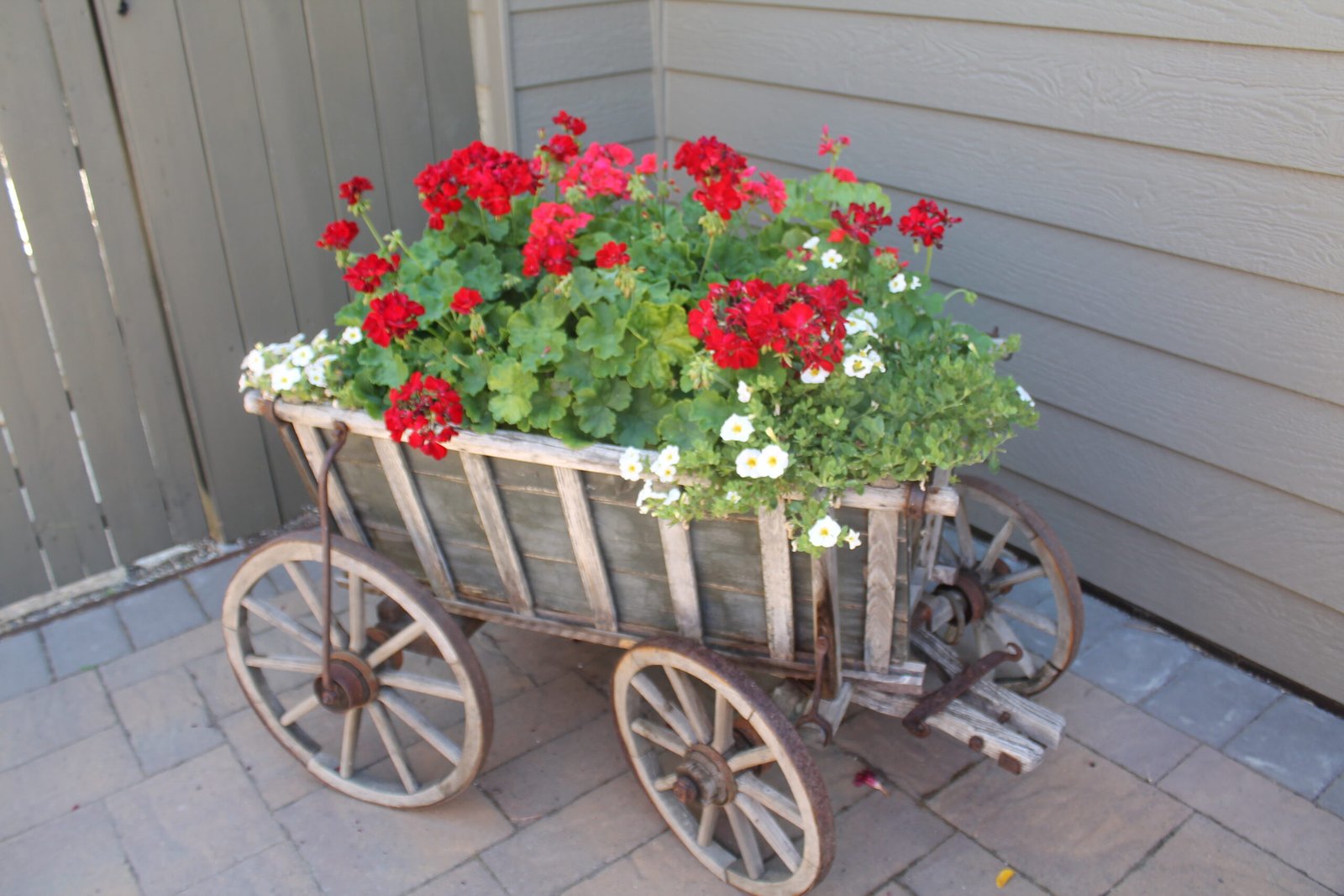 Mini antique wooden wagon with red and white flowers.