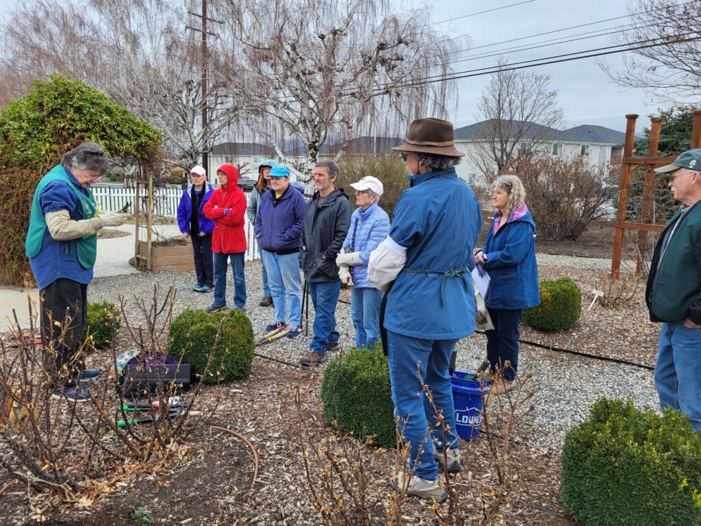 Members of the community listen to rose pruning advice.