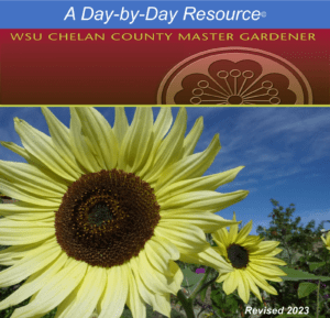 Day by day resource cover with sunflower.